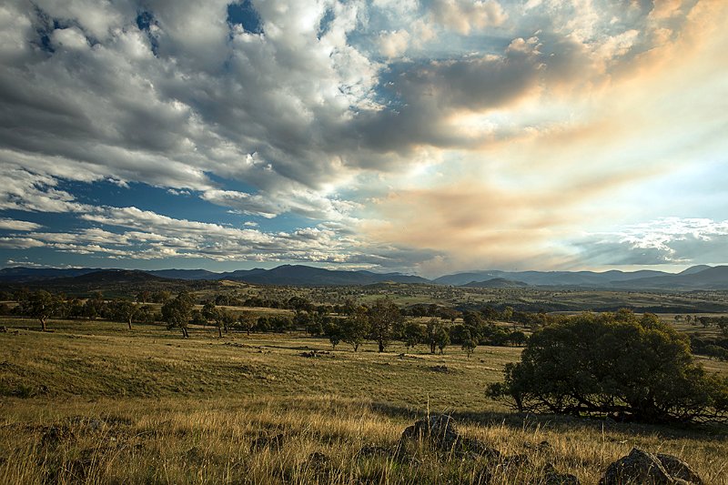 stromlo burnoffs.jpg